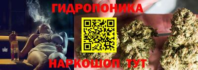 гидра Долгопрудный